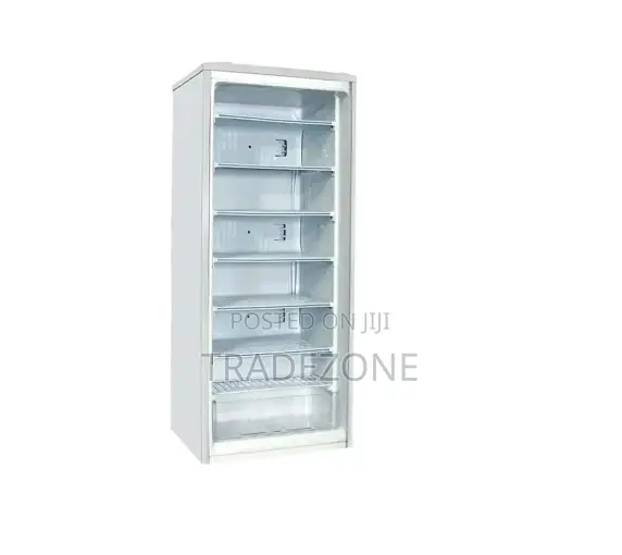 LG 168 Liters Energy Saving Upright Freezer | FRZ 304R