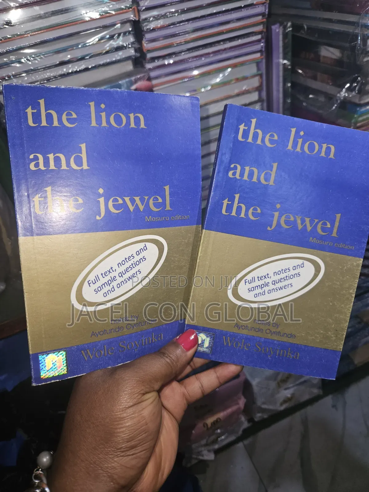 The Lion and the Jewel [ Storybook Novel ]