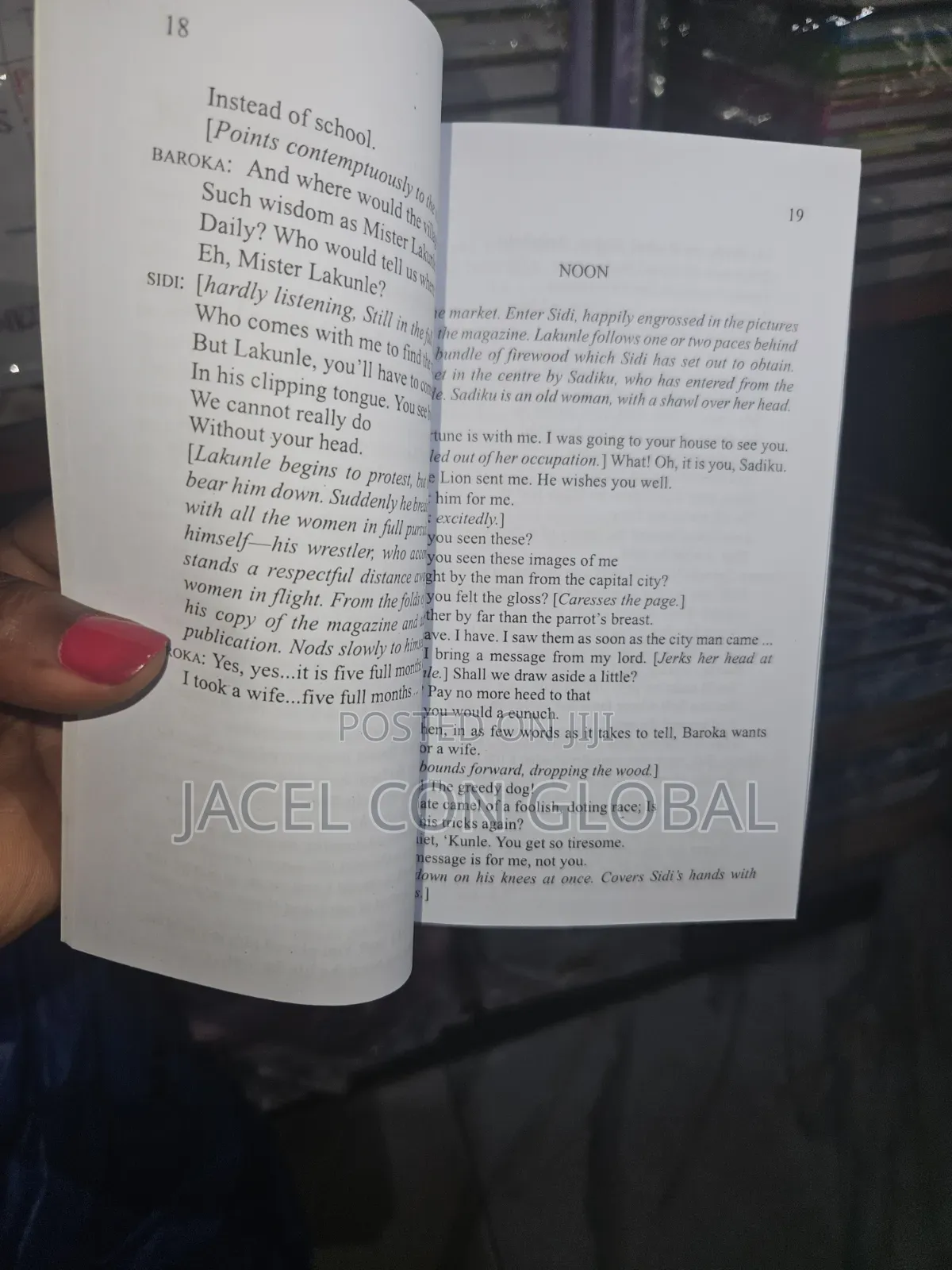 The Lion and the Jewel [ Storybook Novel ]