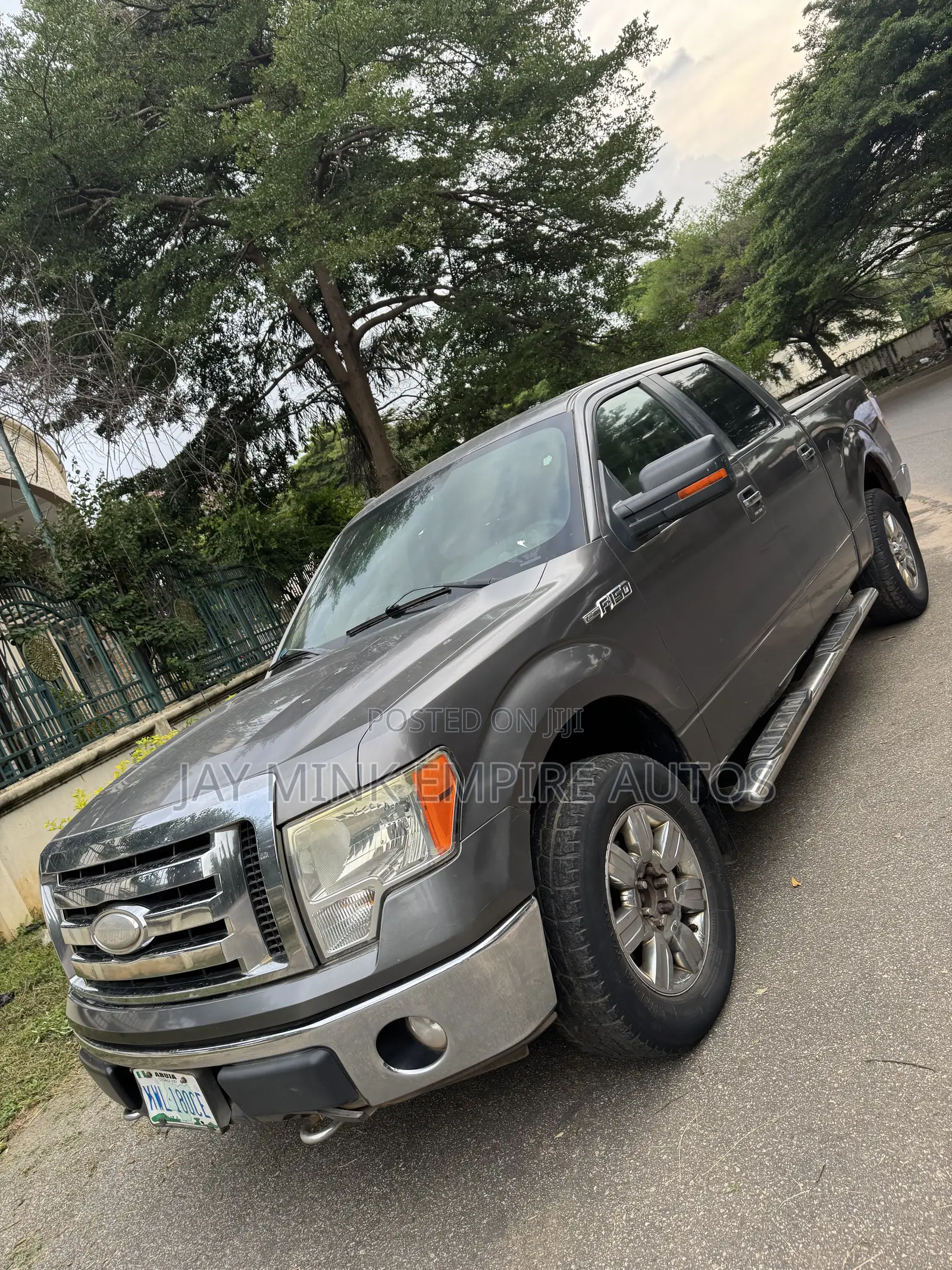 Ford F-150 2009 Gray