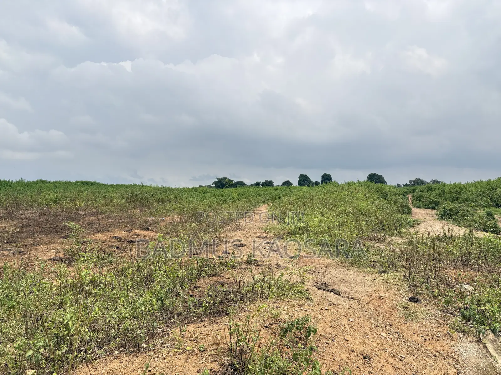 500SQM Estate Land for 5 Bedroom Detached Duplex With R of O