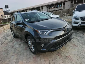 Toyota RAV4 XLE AWD (2.5L 4cyl 6A) 2017 Gray