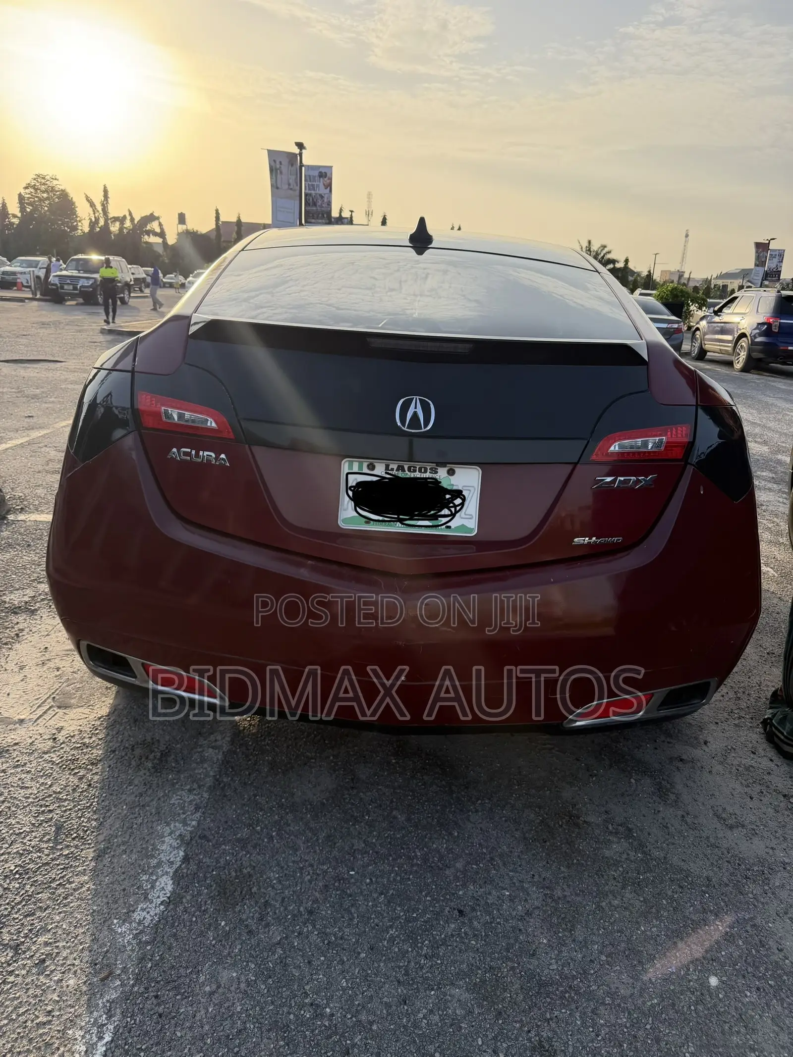 Acura ZDX Base AWD 2010 Red