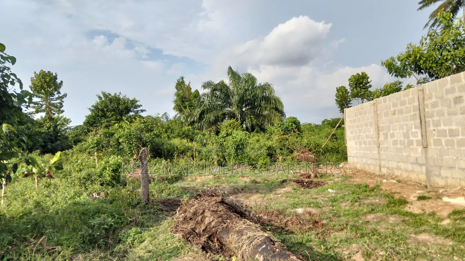 For Sale : Half (1⁄2) Plot at New Layout Elikpokpodu Rukpokwu Ph