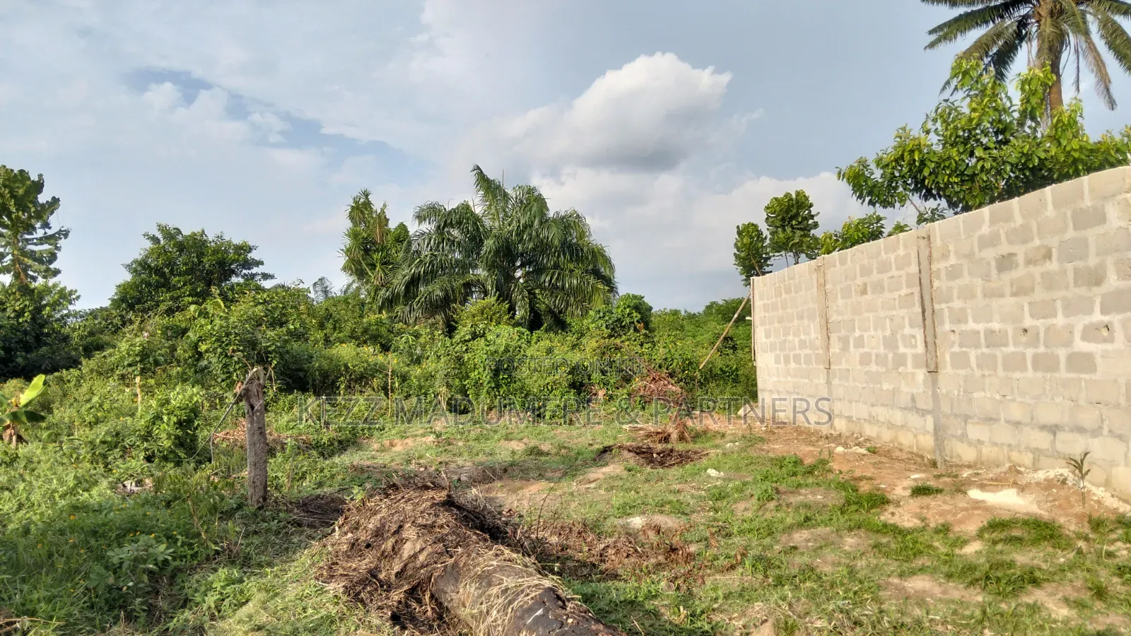 For Sale : Half (1⁄2) Plot at New Layout Elikpokpodu Rukpokwu Ph