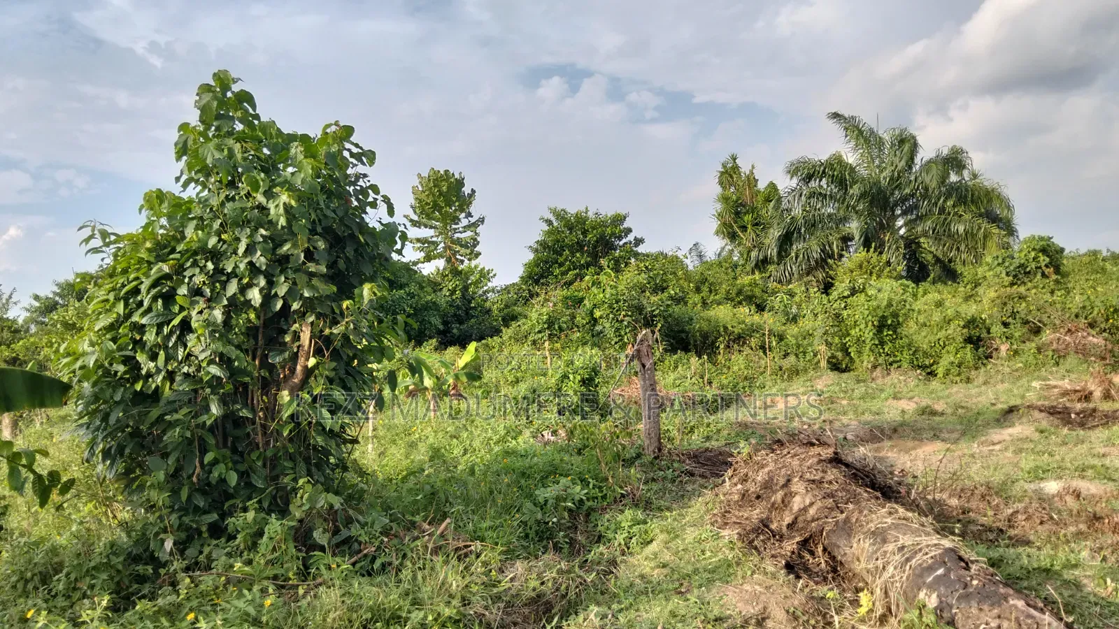 For Sale : Half (1⁄2) Plot at New Layout Elikpokpodu Rukpokwu Ph