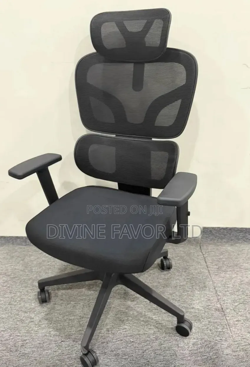 Ergonomic Swivel Chair With Lumbar Support