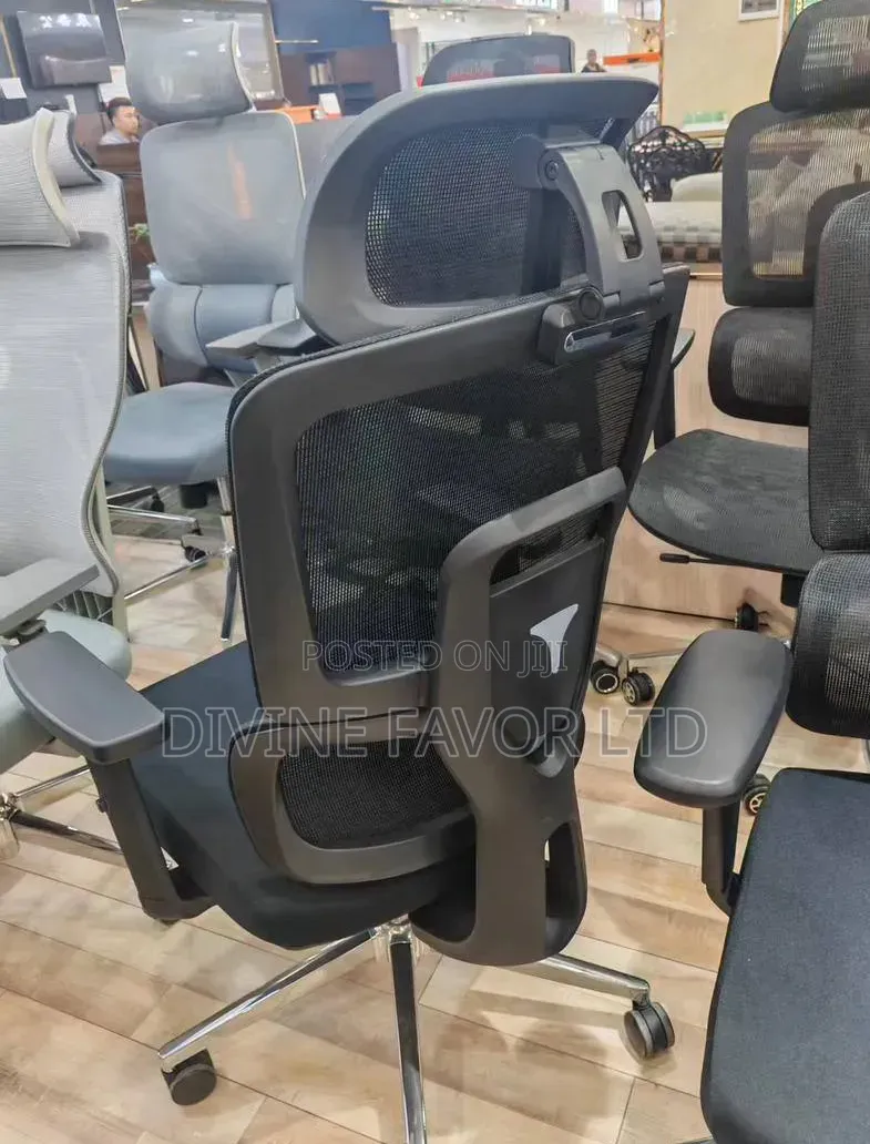 Ergonomic Swivel Chair With Lumbar Support