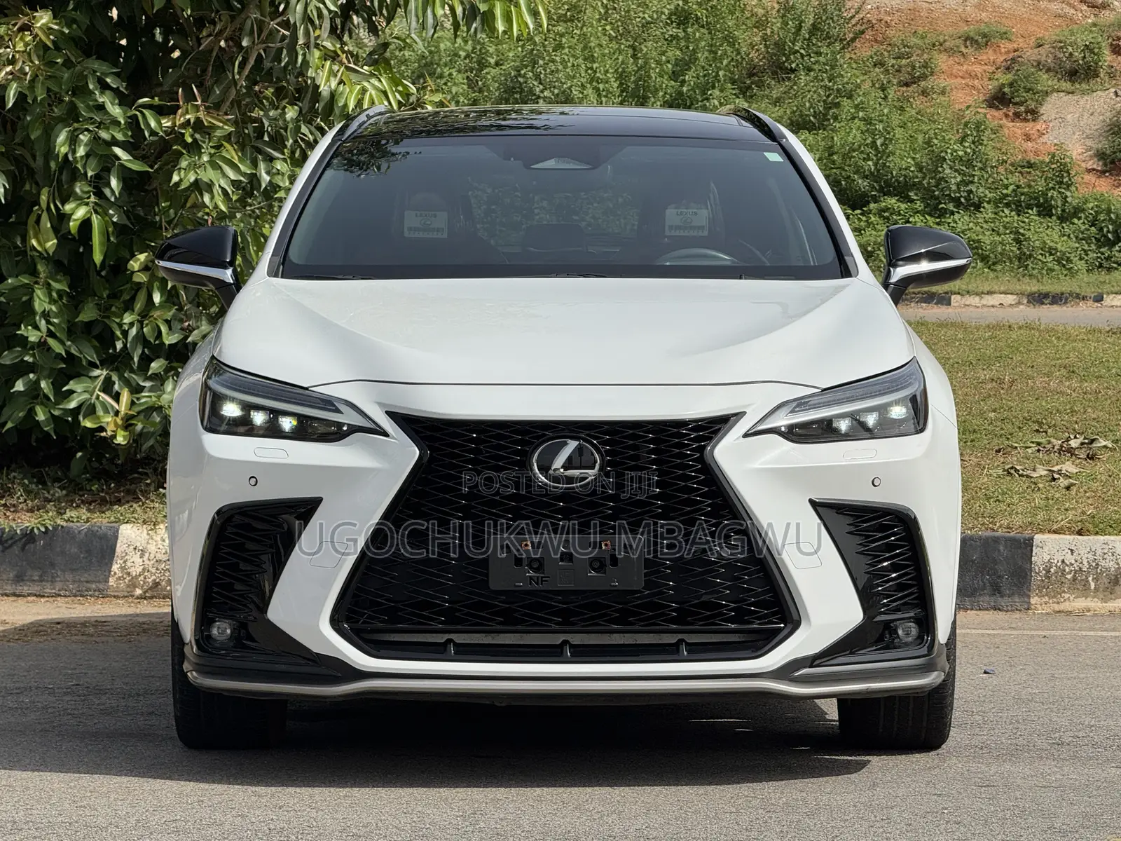 Lexus NX 350 F SPORT Handling AWD 2024 White