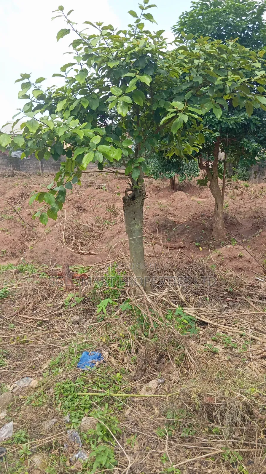 2 Plots Land for Sale at Amenyi