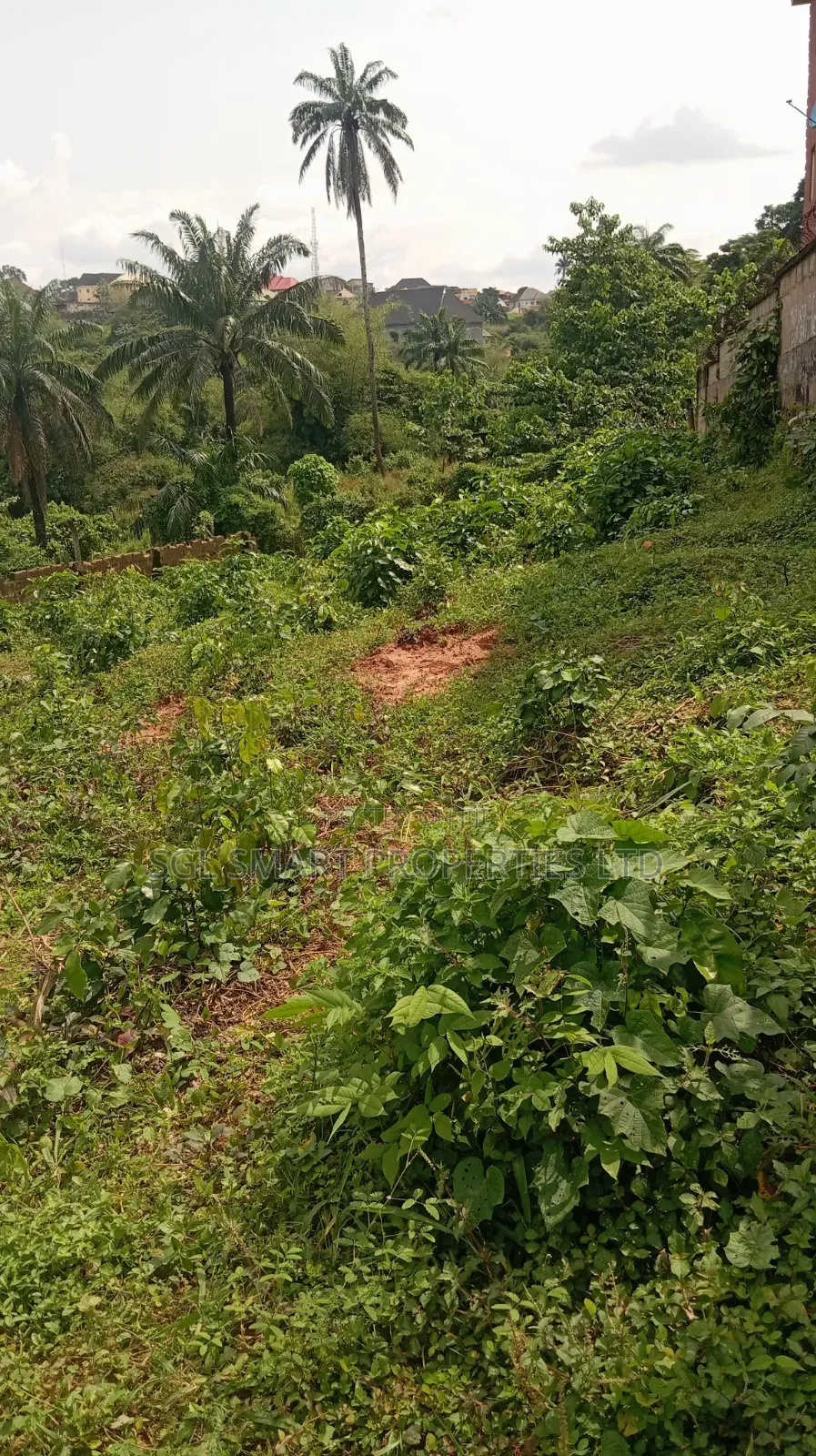 1 and Half Plots for Sale at Amenyi Awka