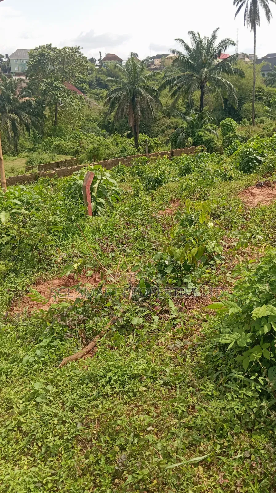 1 and Half Plots for Sale at Amenyi Awka