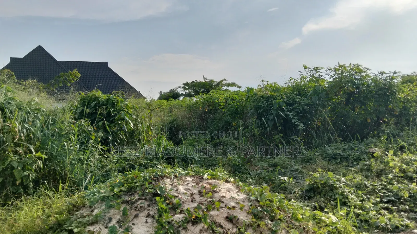 For Sale : 1 Plot at Igbogo Elikpokpodu Rukpokwu Port Harcourt
