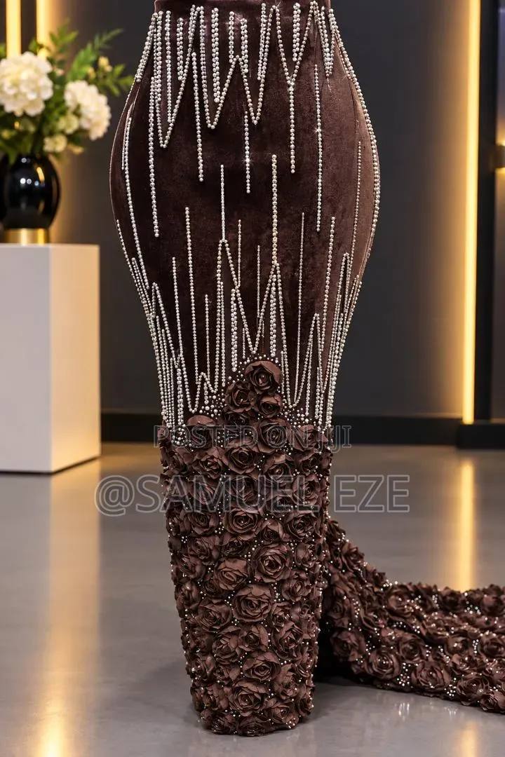Velvet Beaded Lace Made in Switzerland