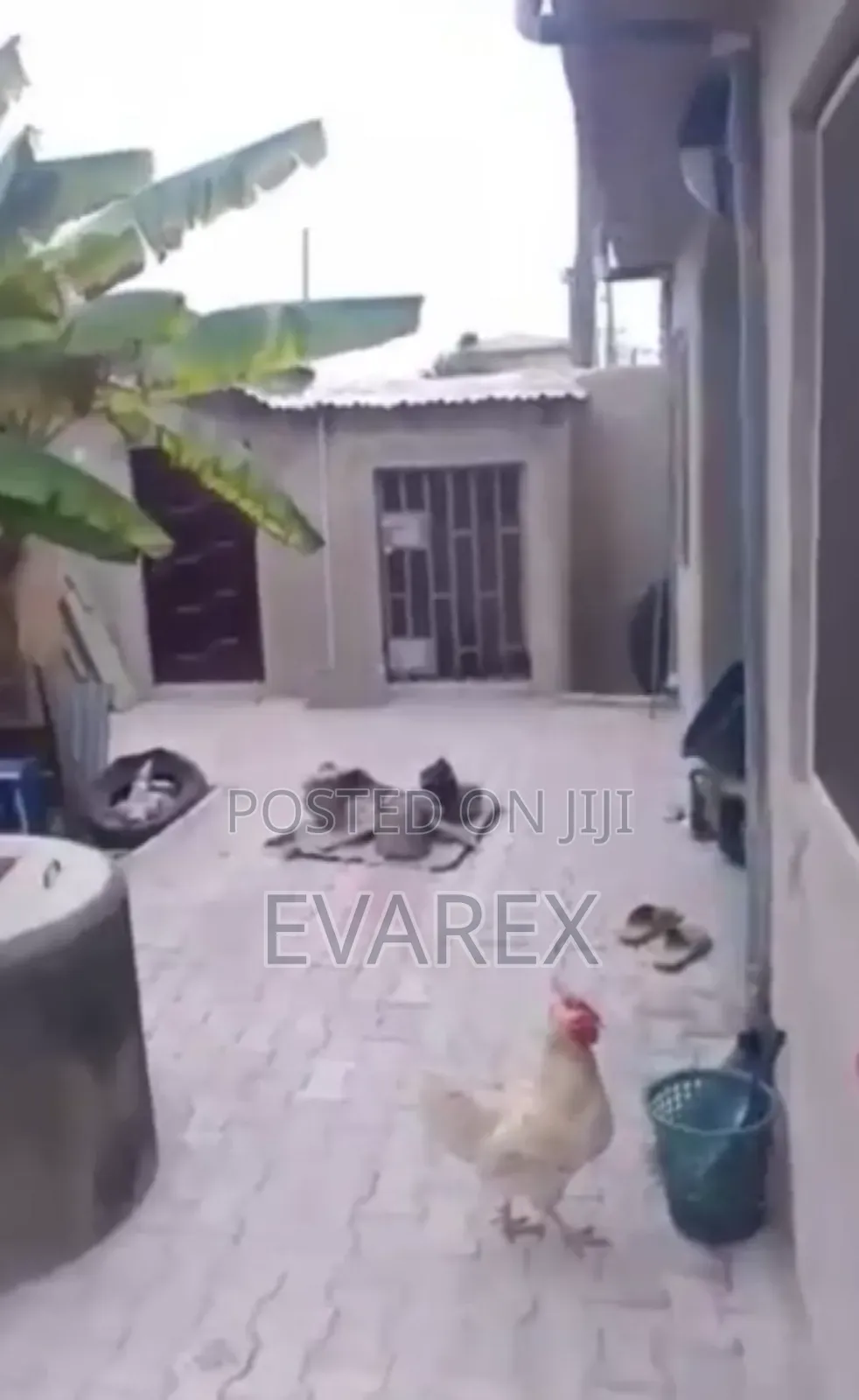 3bdrm Bungalow in Iba / Ojo for sale