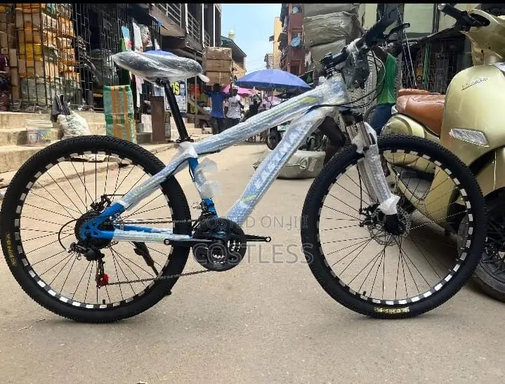 Eastman Durable Bicycle