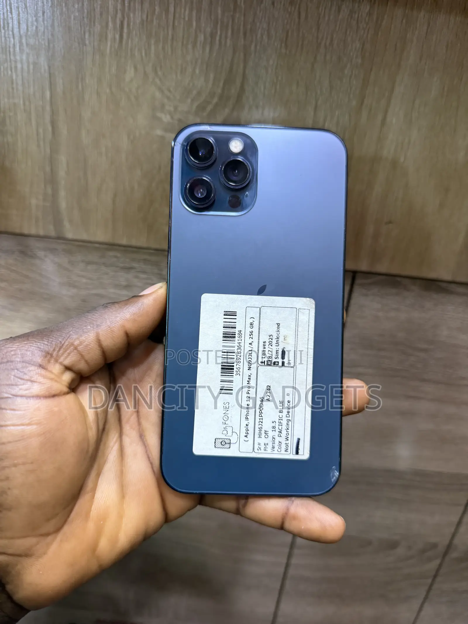 Apple iPhone 12 Pro Max 256 GB Blue