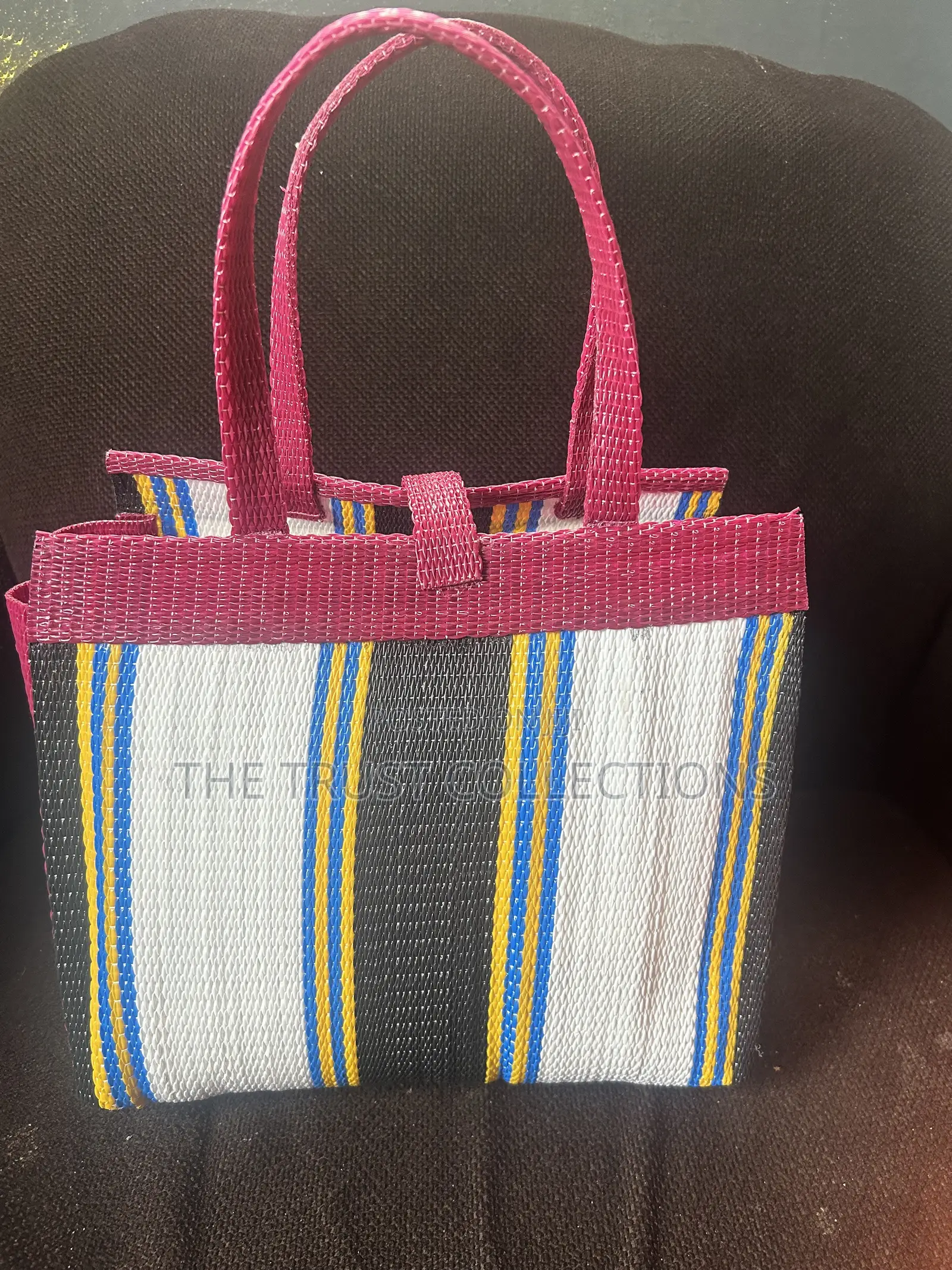 Cavy Craft Bag