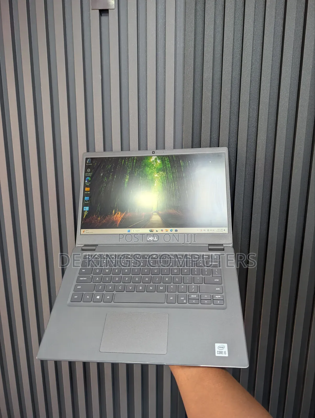 Laptop Dell Latitude 3410 8GB Intel Core i5 SSD 256GB