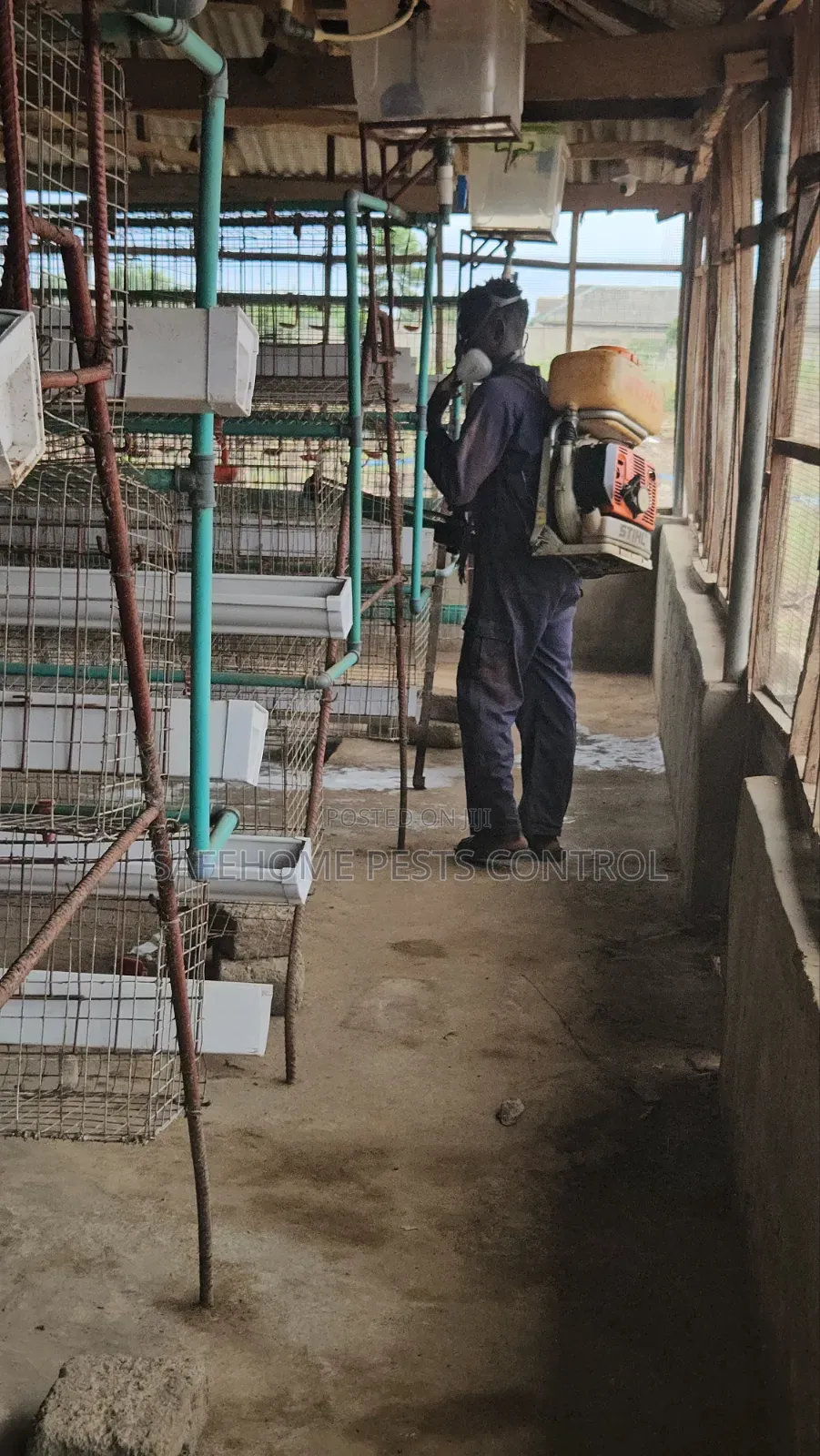Poultry Farm Pest Management and Rodent Control