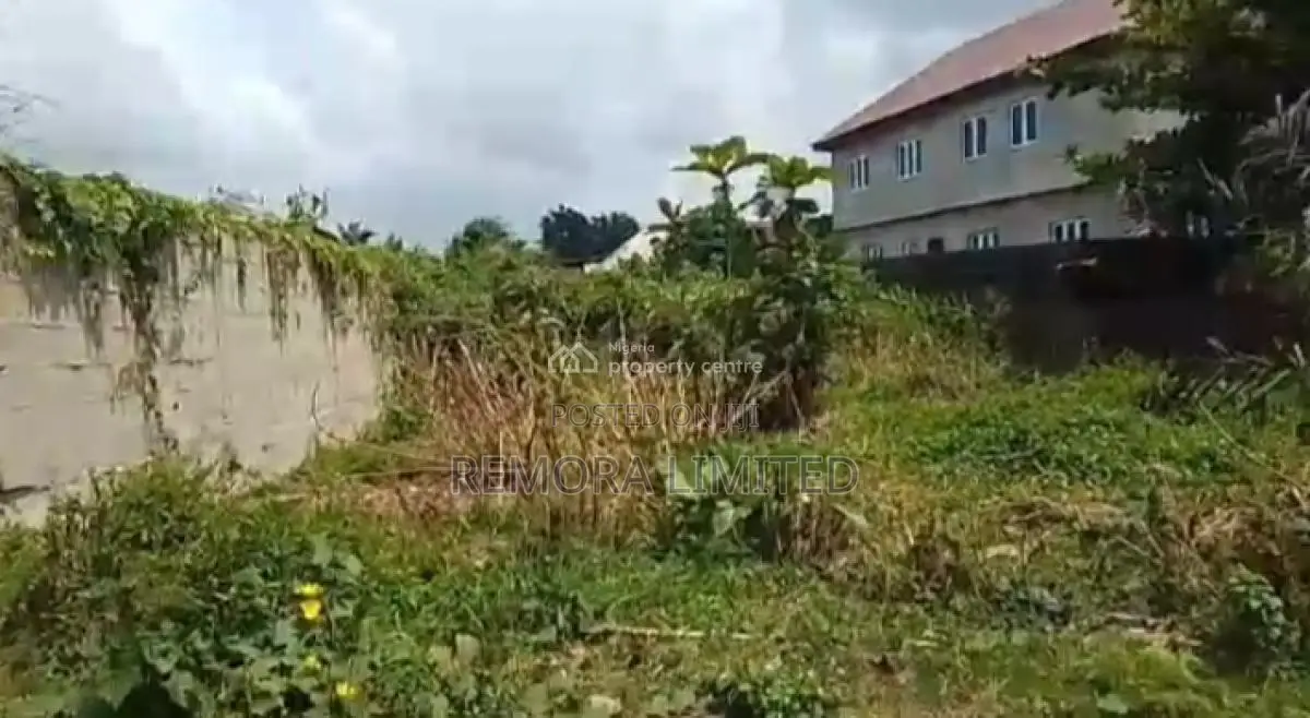 Half Plot of Land in a Nice Location
