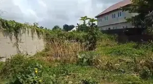 Half Plot of Land in a Nice Location