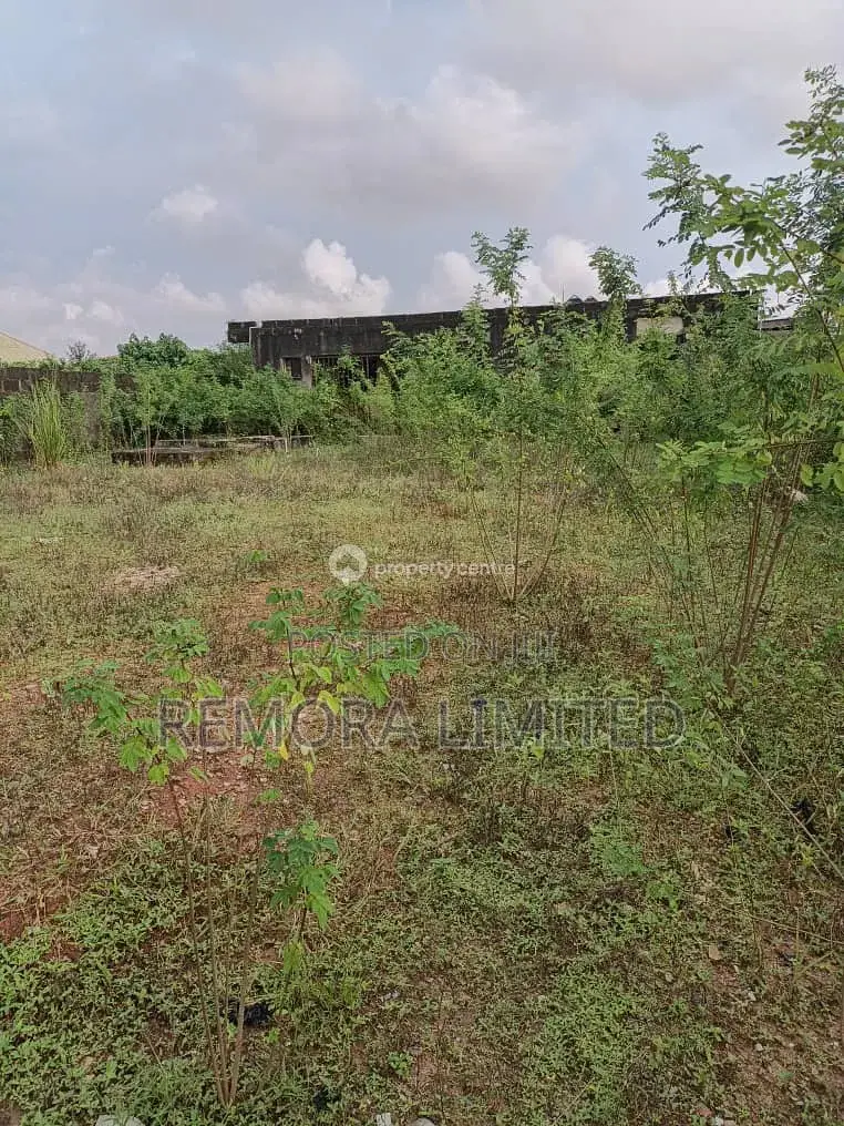 Half Plot of Land in a Nice Location