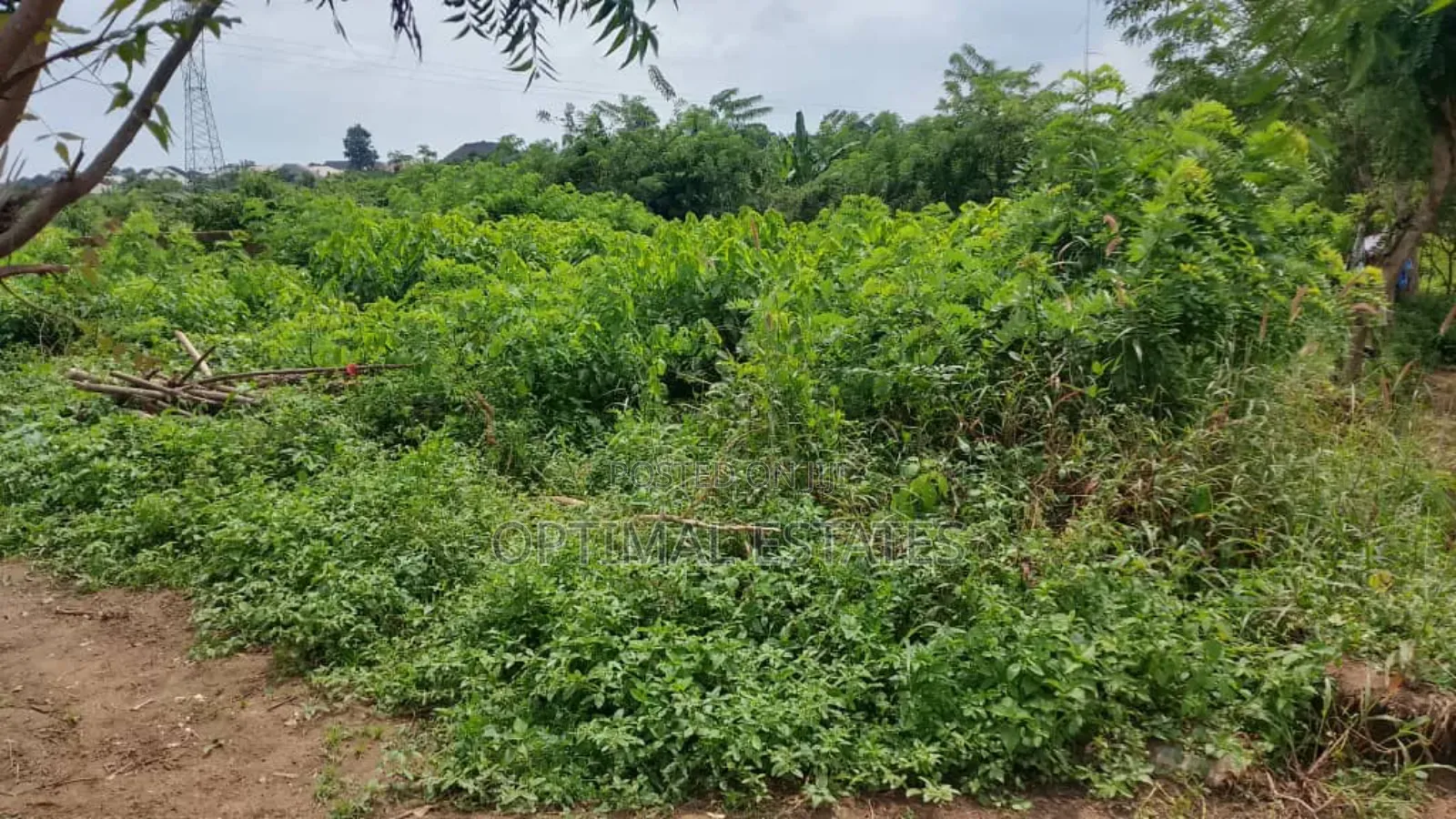 Land for Sale