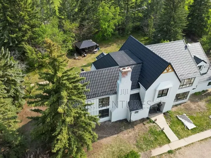 Metal Roof Renewal Service