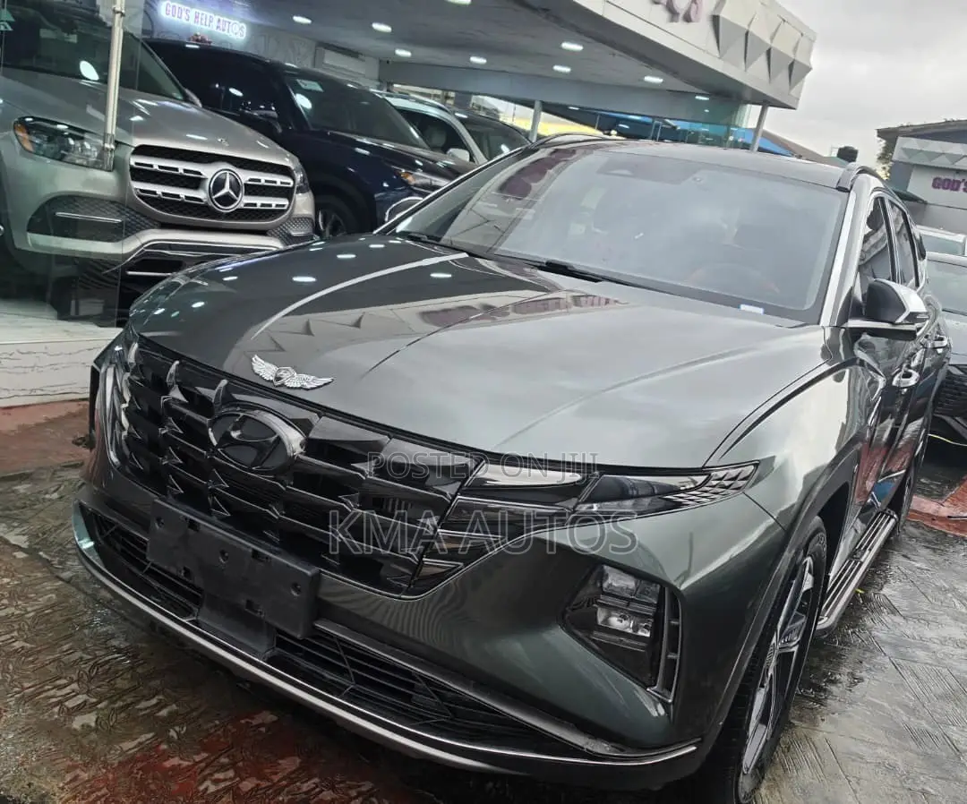 Hyundai Tucson 2023 Gray