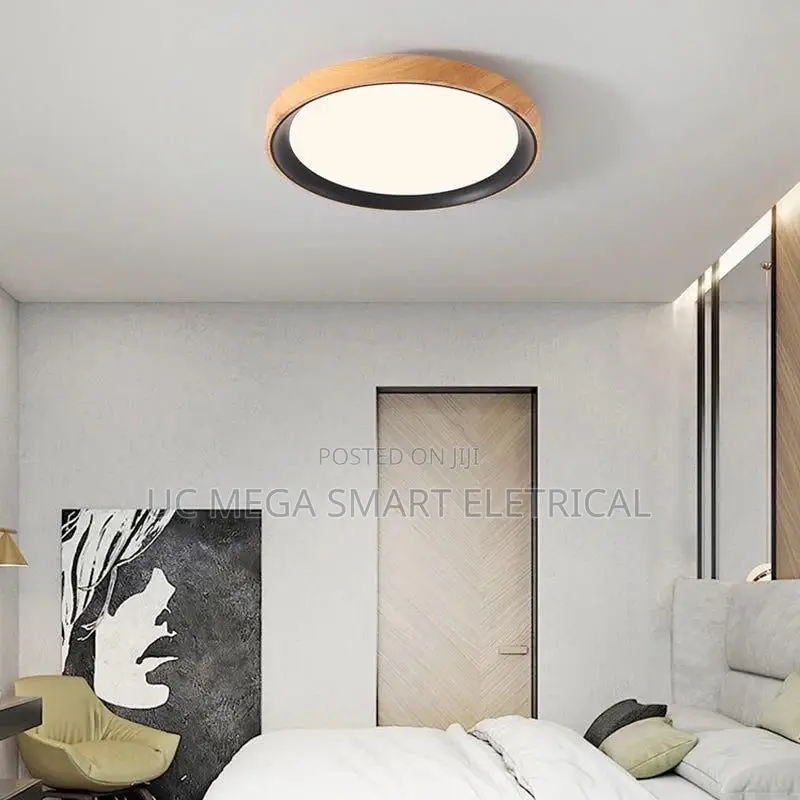 Nordic LED Ceiling Light for Living Room Bedroom Room Study Balcony