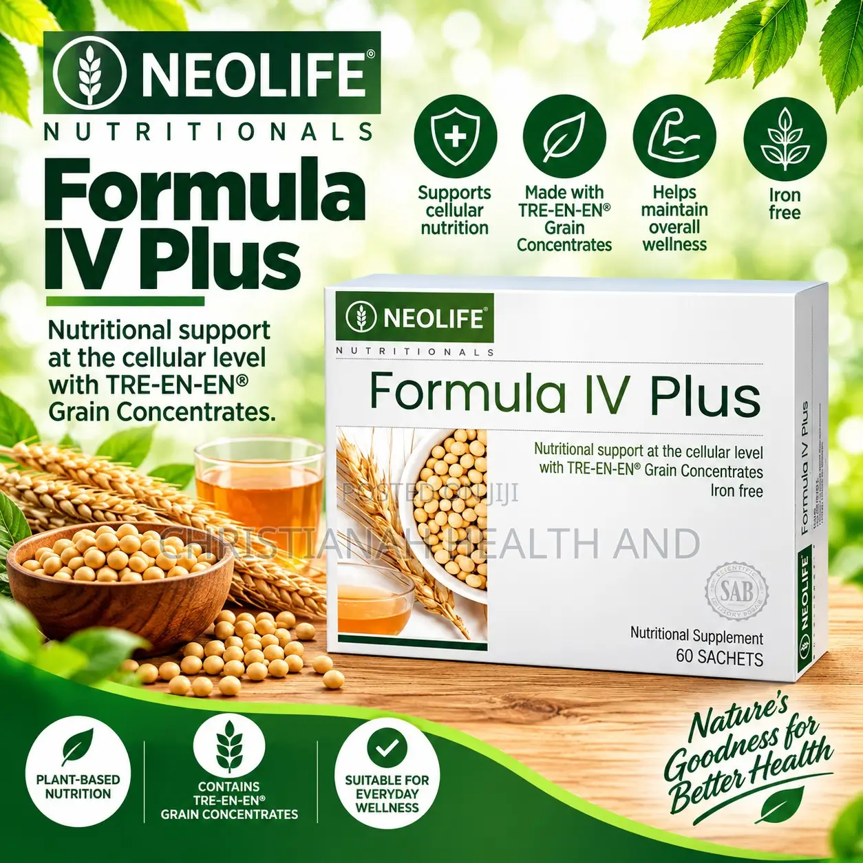 Formula Iv Plus - 60 Sachets for Optimal Well Being and Vitality
