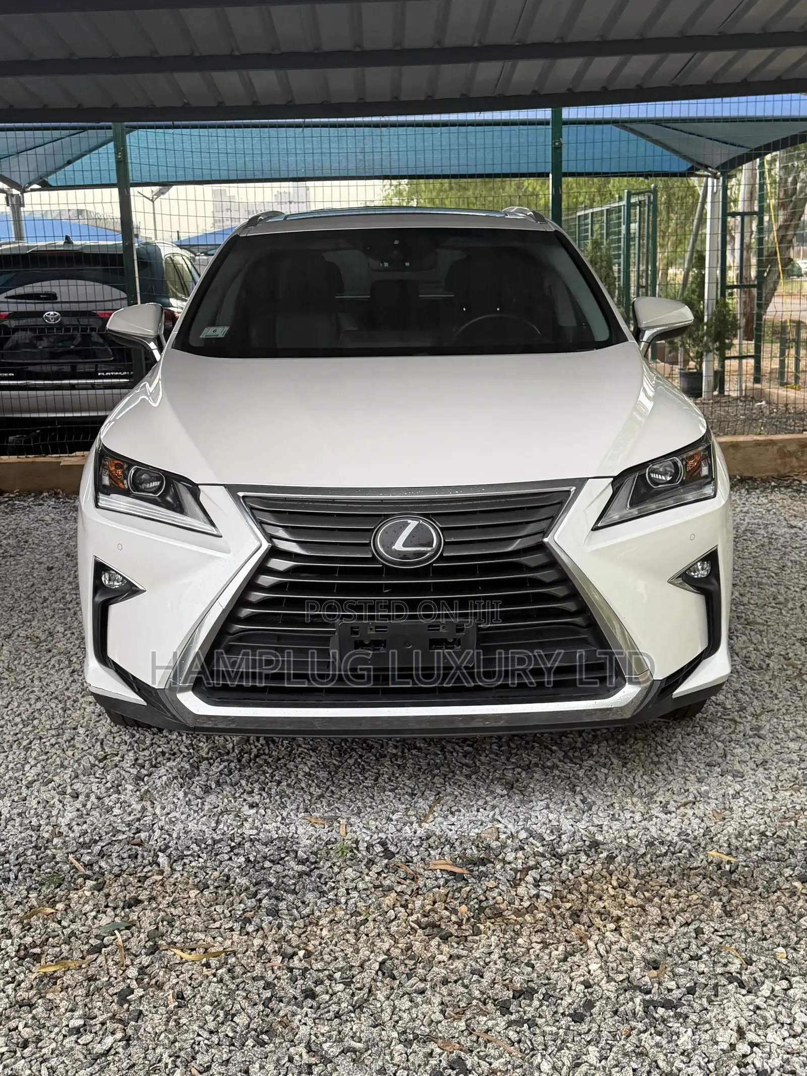 Lexus RX 2019 White