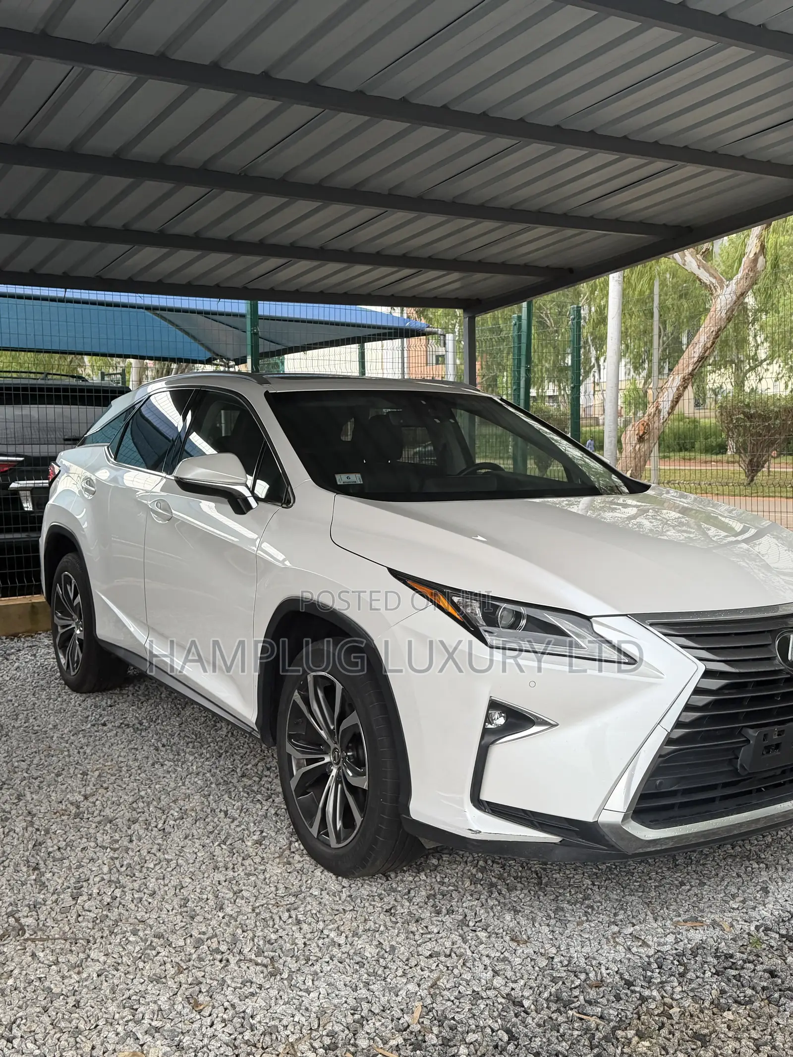 Lexus RX 2019 White