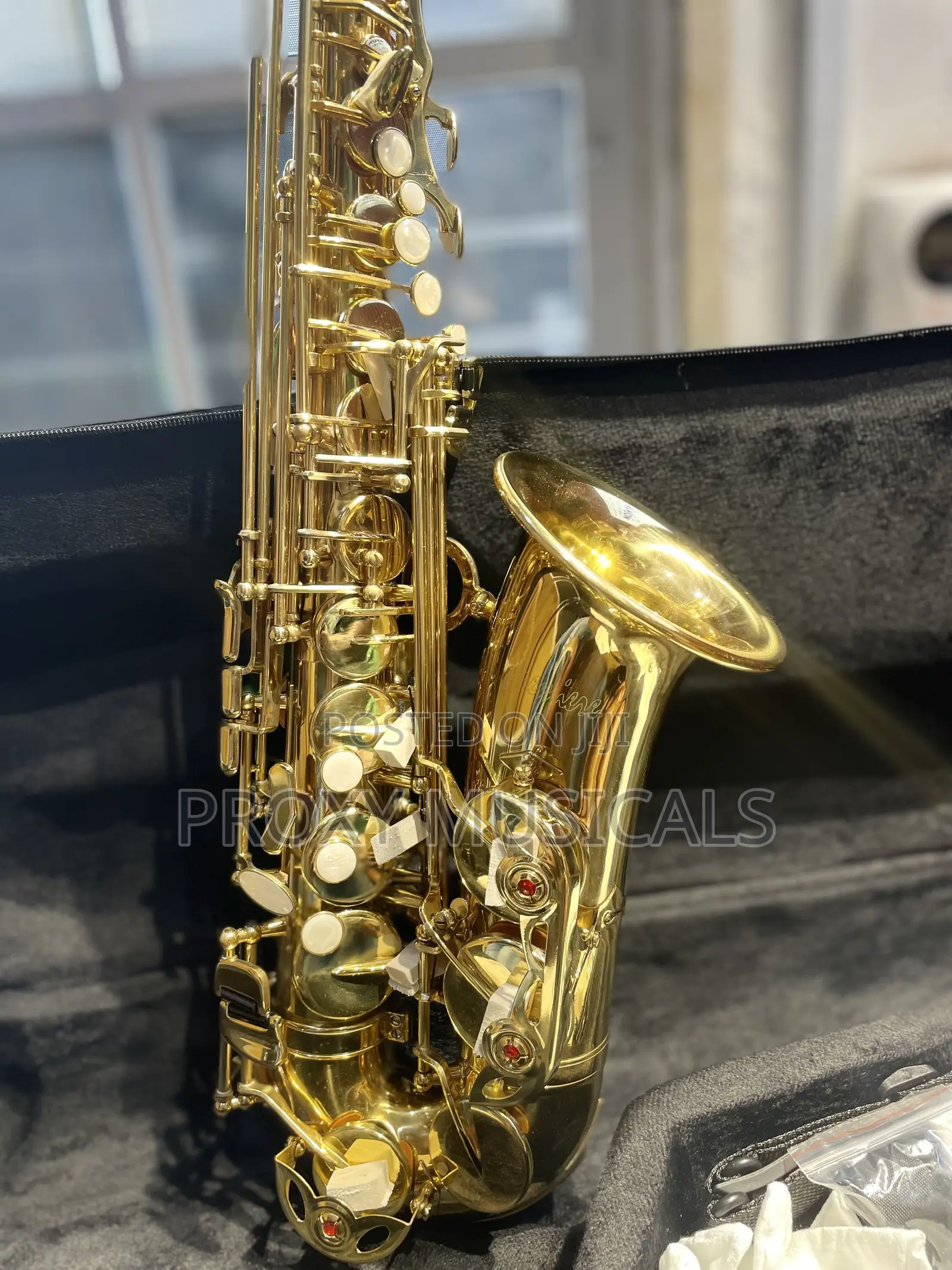 Premier Gold Lacquer Alto Saxophone