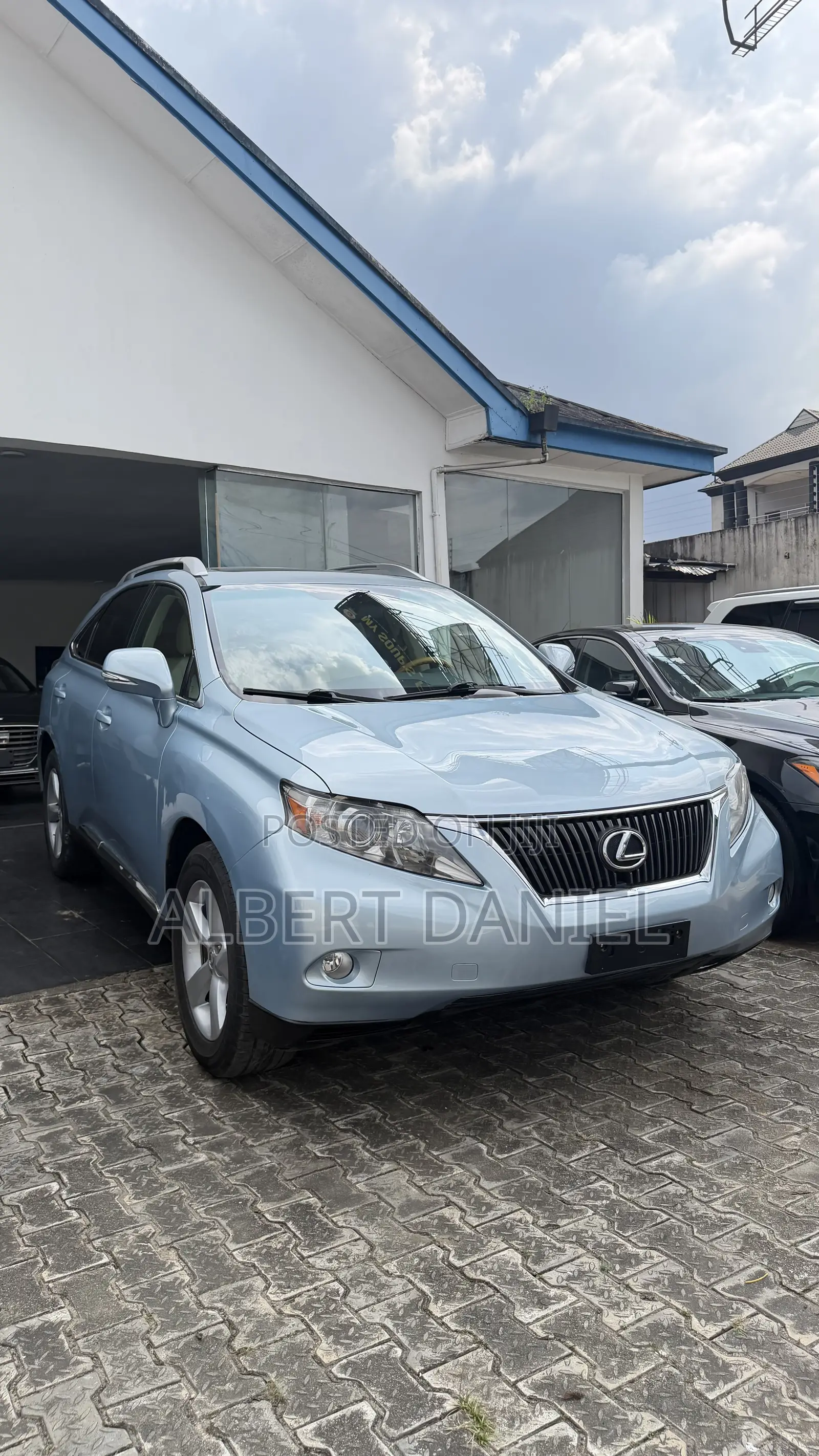 Lexus RX 2010 Blue