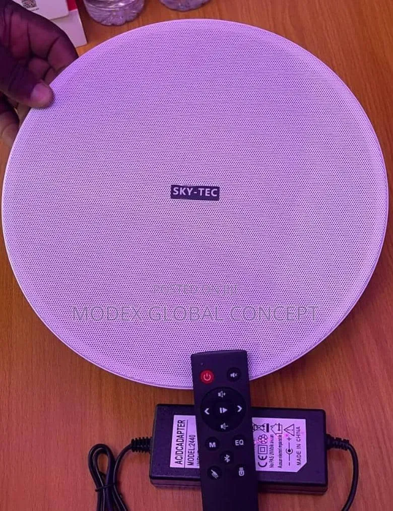 Sky-Tec ST-BTF51 8-Inch Active Bluetooth Ceiling Speaker.
