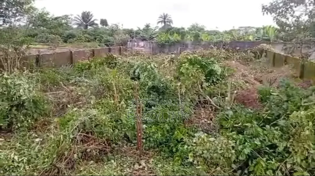 1 Plot of Land for Sale at See for Eye Abada, Airport Road.