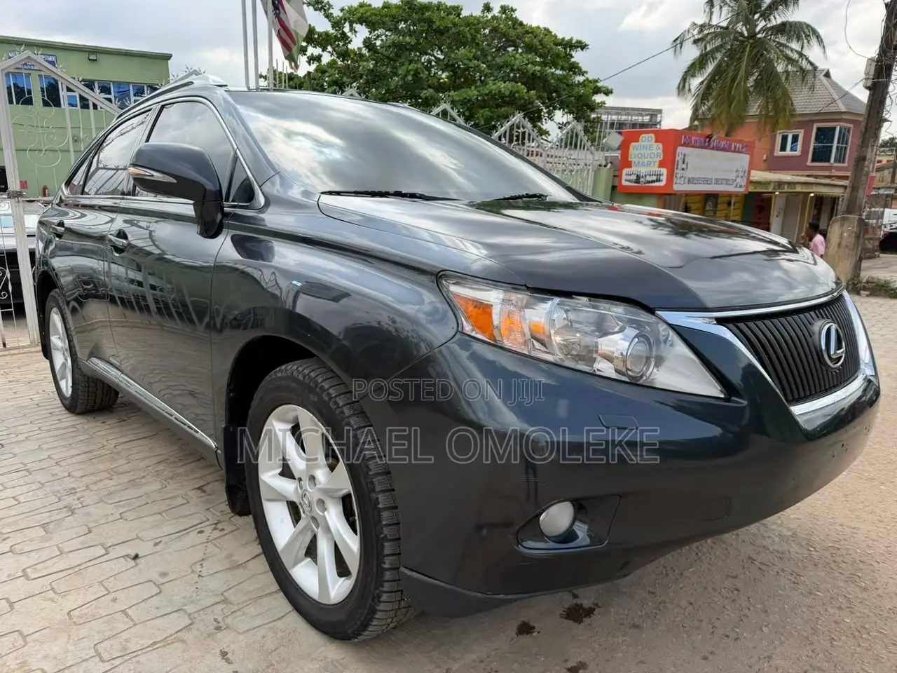 Lexus RX 350 2010 Gray