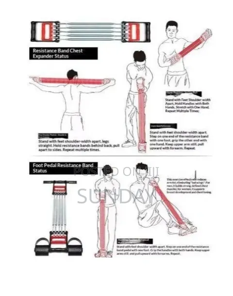 5 Spring Tummy Trimmer