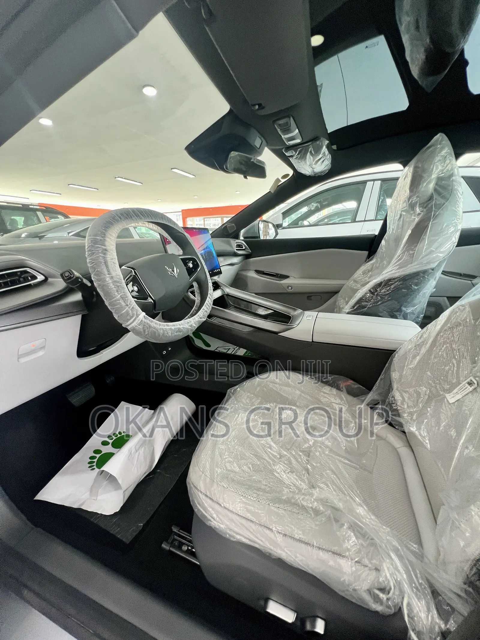 New Arcfox alphaS5 272hp FWD 2025 Silver