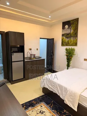 New Luxury Studio Apartment in APO Legislative QTRS for Shortlet
