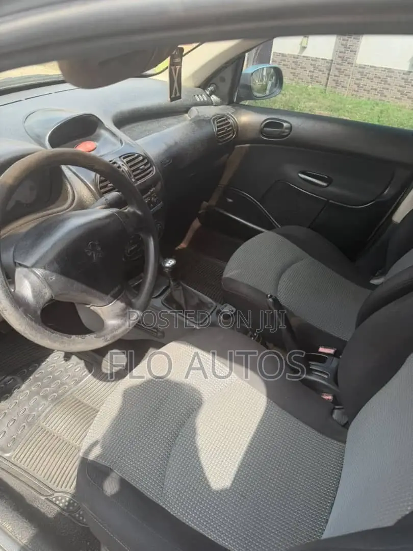 Peugeot 206 CC Automatic 2004 Gray