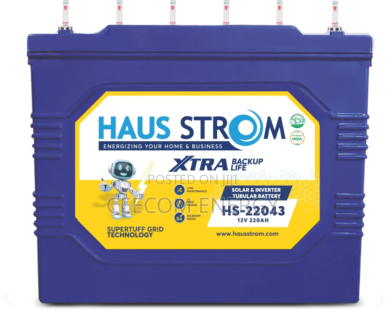 220ah Hausstrom Tubular Battery