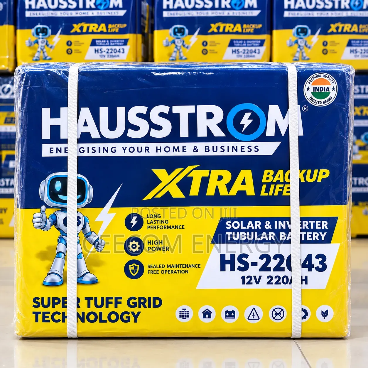 220ah Hausstrom Tubular Battery