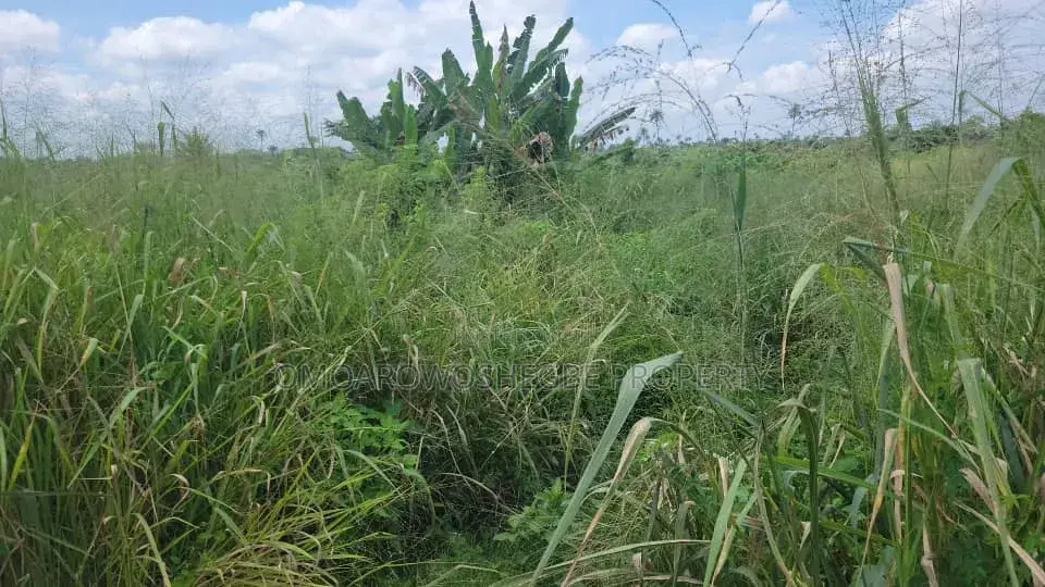 Farmland Close to Main Road