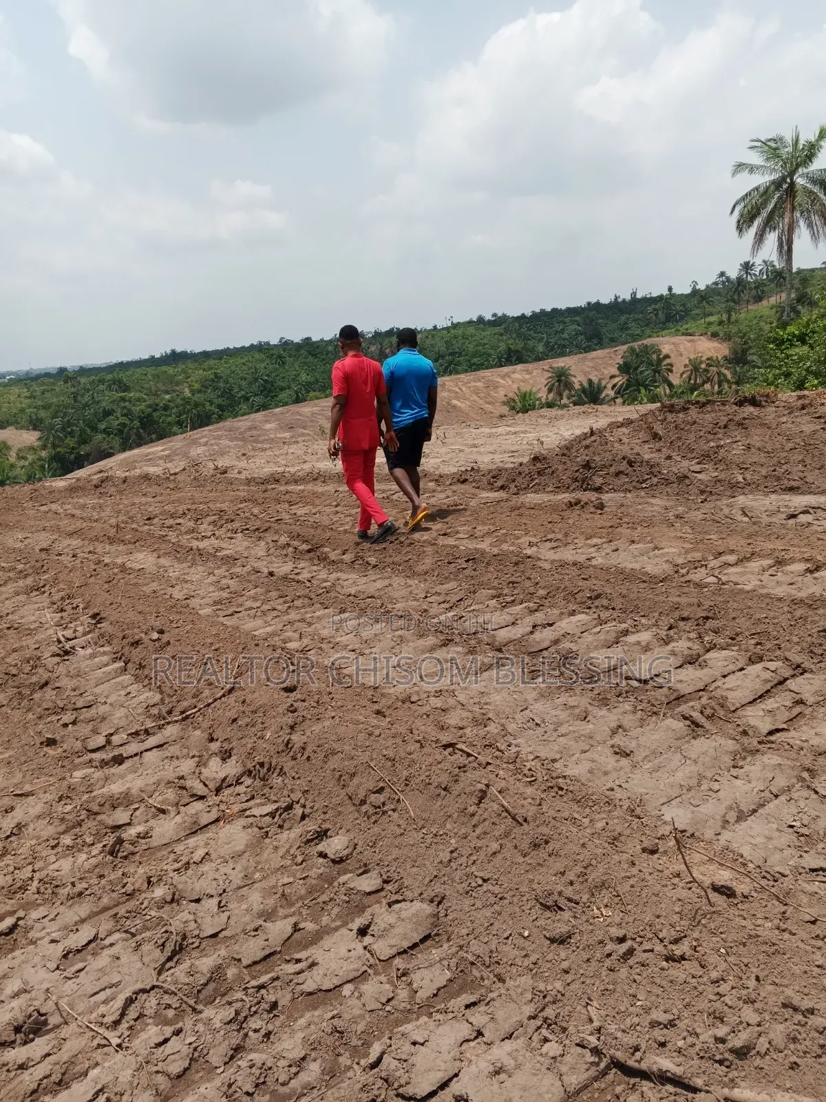 20 Plots for Sale in Nsukwe Old Umuahia Abia State