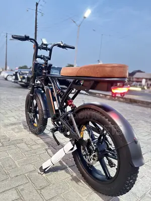 2 Seater Quality USA Electric Bicycle 48V Lithium BMW