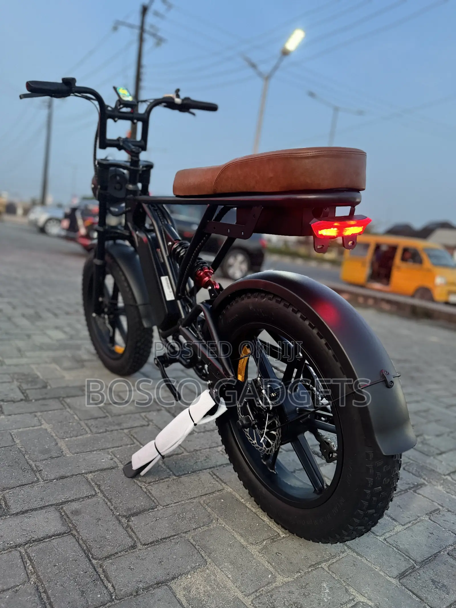 2 Seater Quality USA Electric Bicycle 48V Lithium BMW