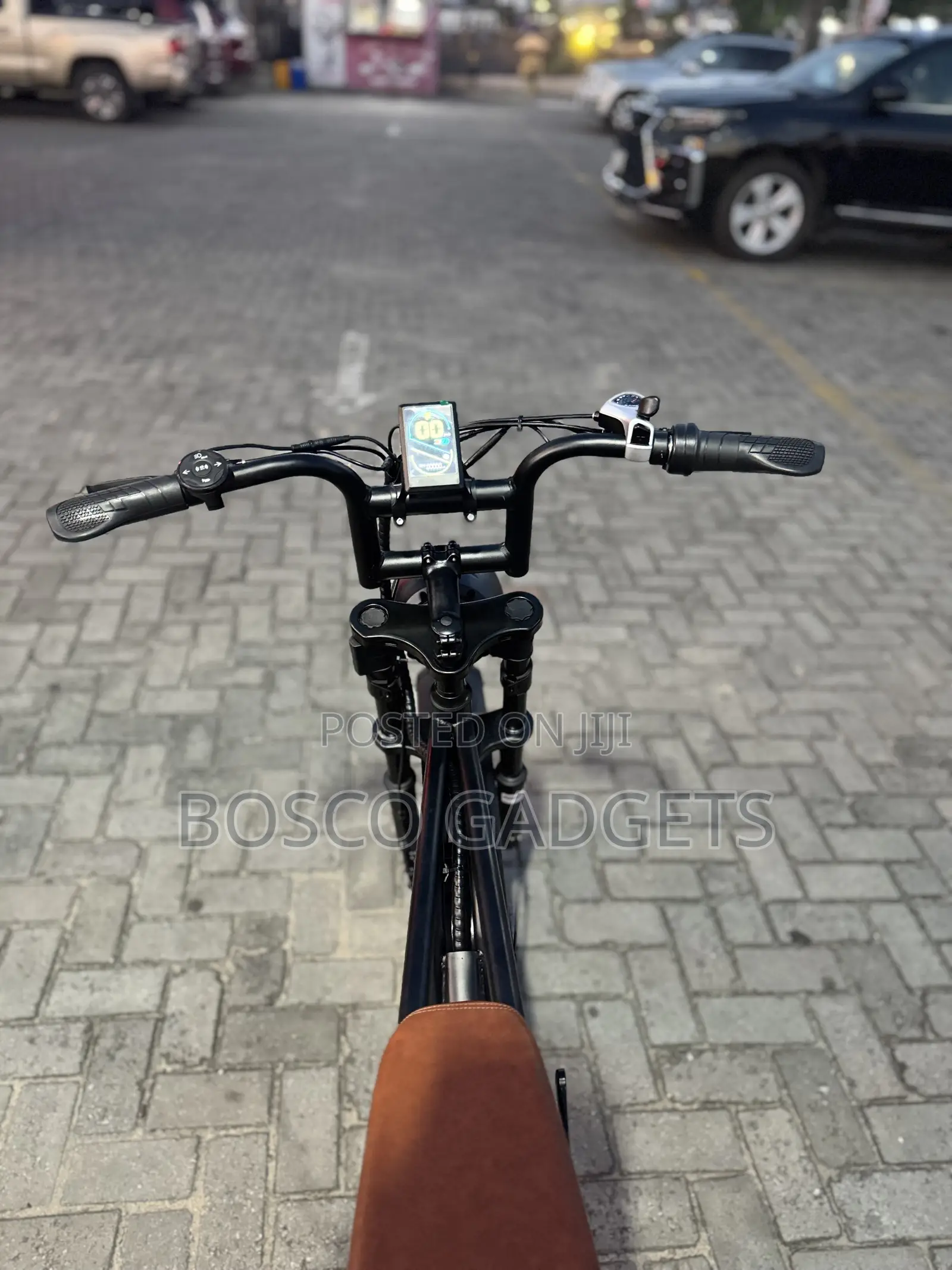 2 Seater Quality USA Electric Bicycle 48V Lithium BMW
